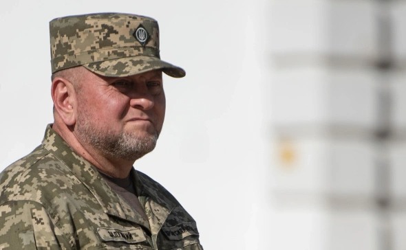 Валерий Залужный Родители Национальность – подробный обзор биографии и карьеры