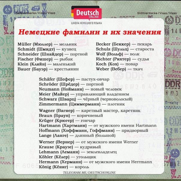 Ли Берлинская Национальность Родители: подробный обзор биографии и жизненного пути