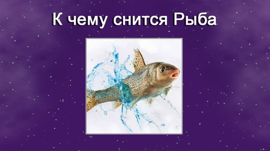 К Чему Снится Рыба: символика, толкования и культурные аспекты