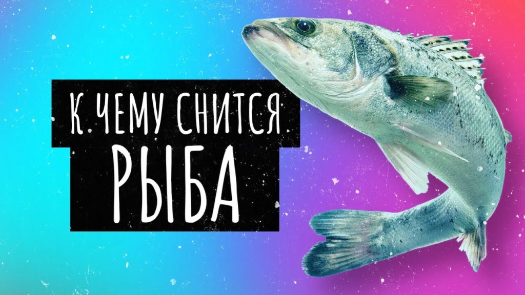 К Чему Снится Рыба: символика, толкования и культурные аспекты
