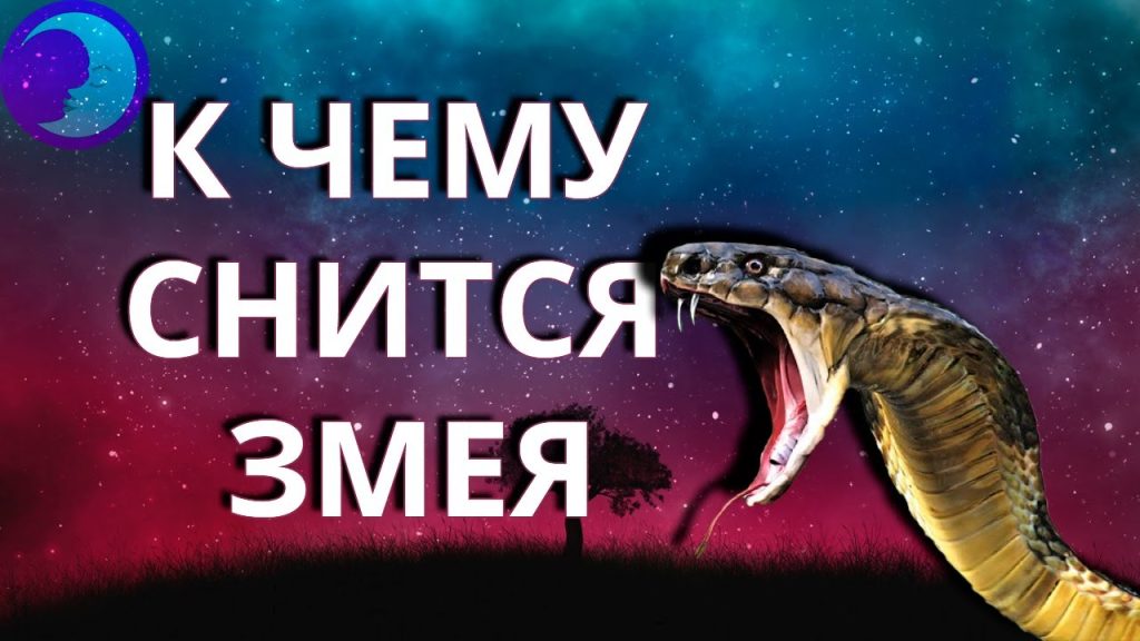 К Чему Снится Змея: подробный разбор символики и значений сна