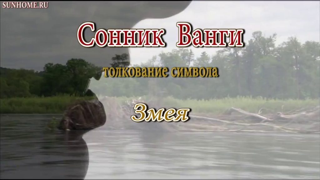 К Чему Снится Змея: подробный разбор символики и значений сна