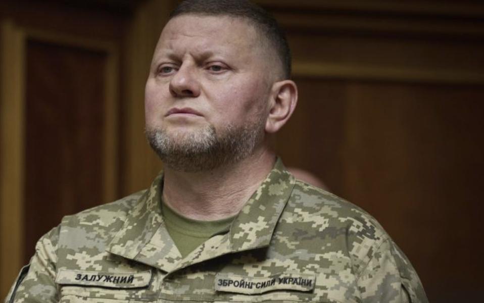 Перша Дружина Залужного: биография, личная жизнь и деятельность
